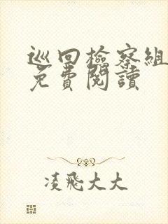 巡回检察组小说免费阅读