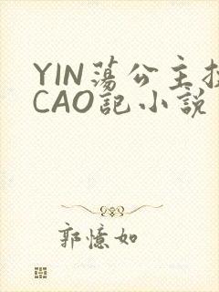 YIN荡公主挨CAO记小说