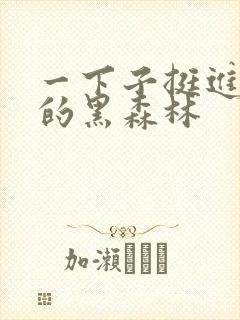 一下子挺进浓密的黑森林