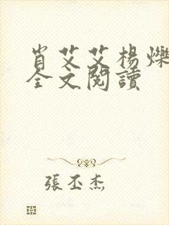 肖艾艾杨烁小说全文阅读