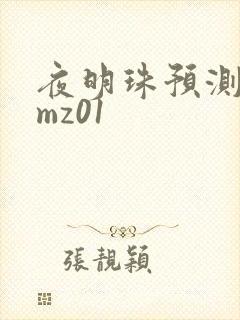 夜明珠预测 ymz01