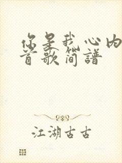 你是我心内的一首歌简谱