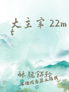 大主宰 22mt