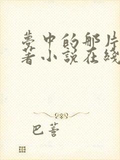 梦中的那片海原著小说在线阅读