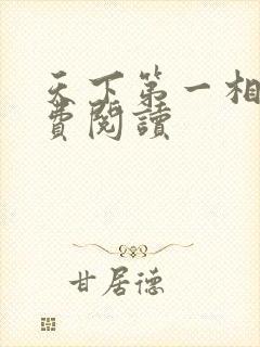 天下第一相书免费阅读