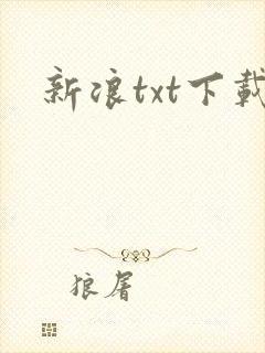 新浪txt下载