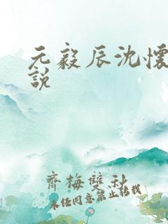 元毅辰沈怀妆小说