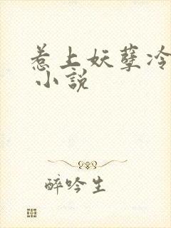 惹上妖孽冷殿下 小说