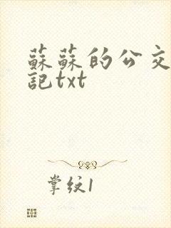 苏苏的公交车日记txt