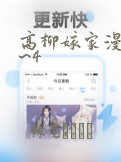 高柳嫁家漫画1~4