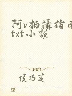 阿v拍摄指南说txt小说