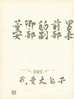 董卿的前男友公安部副部长