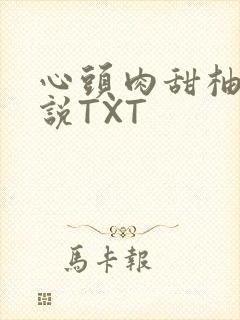 心头肉甜柚子小说TXT