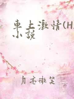 车上激情(H)小说