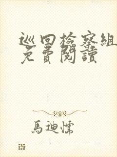 巡回检察组小说免费阅读