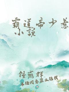 霸道帝少惹不得 小说