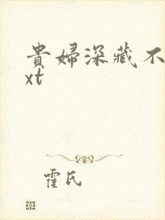 贵妇深藏不露txt