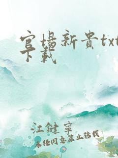 官场新贵txt下载