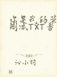 你是我的荣耀未删减TXT番外