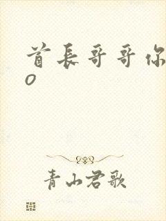 首长哥哥你好po