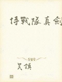 侍战队真剑者2