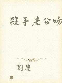 杀手老公吻上瘾