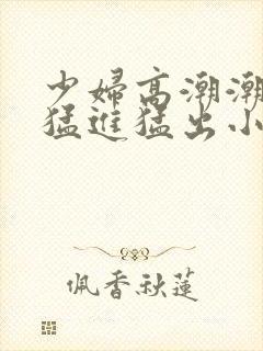 少妇高潮潮喷到猛进猛出小说