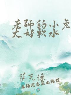 老师的小兔子好大好软水