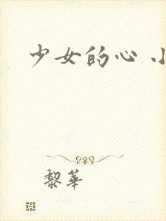少女的心 小说