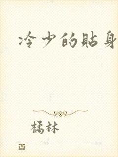 冷少的贴身女人