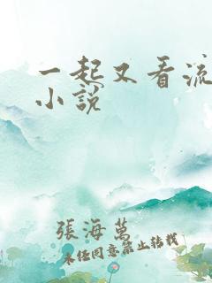 一起又看流星雨小说