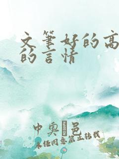 文笔好的高质量的言情