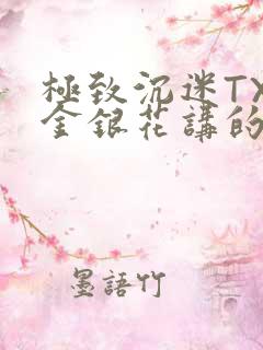 极致沉迷TXL金银花讲的什么