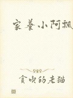 家养小阿飘殿下