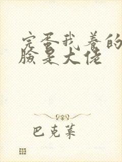 完蛋我养的小白脸是大佬