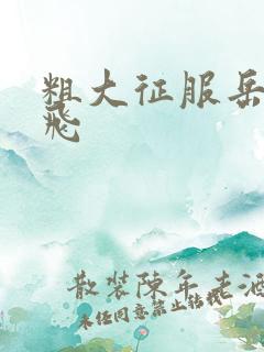 粗大征服岳女双飞