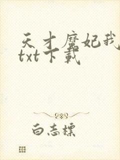 天才魔妃我要了txt下载