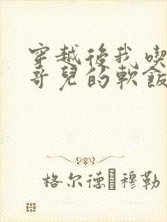 穿越后我吃到了哥儿的软饭炉山灰