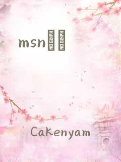 msnС˵