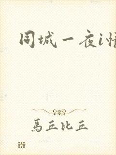 同城一夜i情