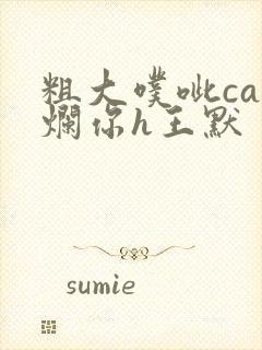 粗大噗呲cao烂你h王默