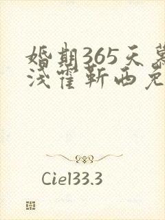 婚期365天慕浅霍靳西免费阅读