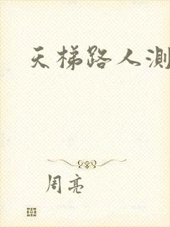 天梯路人测试器