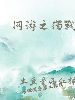 网游之独战天下