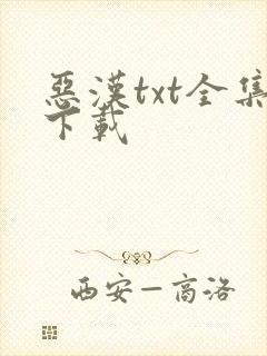 恶汉txt全集下载