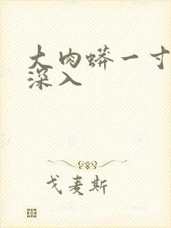 大肉蟒一寸寸地深入