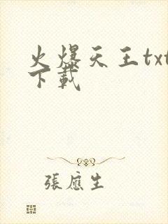 火爆天王txt下载