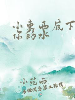 小东西底下都是你的水