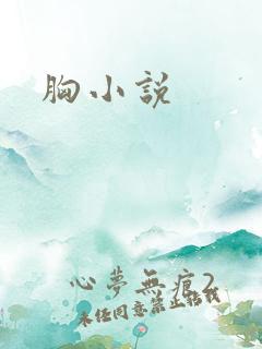 胸小说