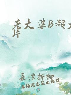 老大婆B超大图片